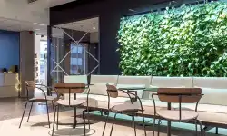 Naava-Green-Wall-IOT