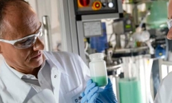 Production-Cathodic-Active-Material