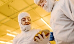 enginers-holding-wafer
