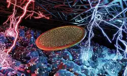 fuelcells-electron-microscopes