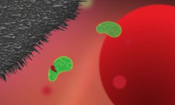Graphene-spike-mat