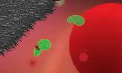 Graphene-spike-mat