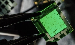 next-gen-digital-screens