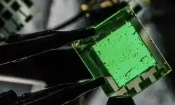 next-gen-digital-screens