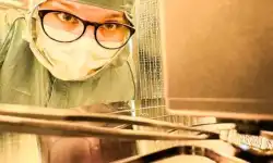 Polymerelektrod-cell