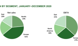 segment-region-breakdown-2020