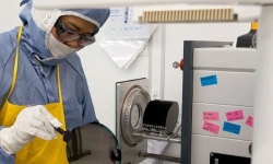 lab