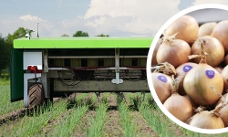 Ekobot-Robot-5G-onion