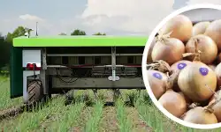 Ekobot-Robot-5G-onion