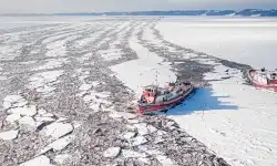 arcticstudy