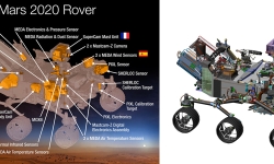 new-rover