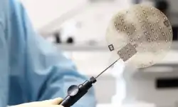 wafer