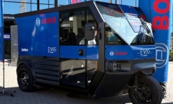 Evig