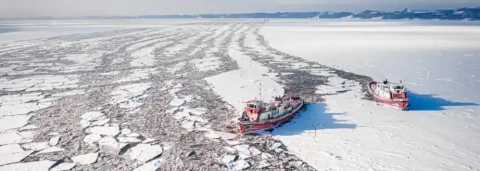arcticstudy