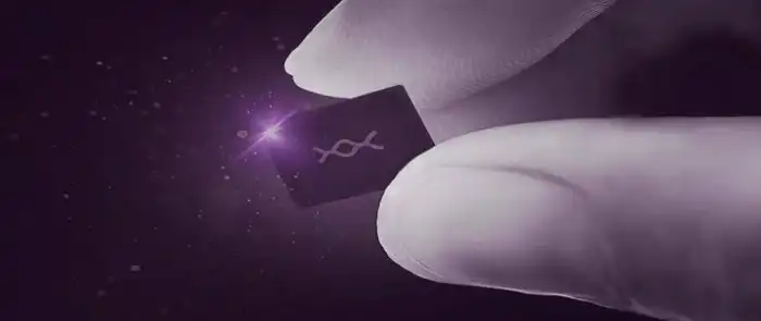 chip-with-logo