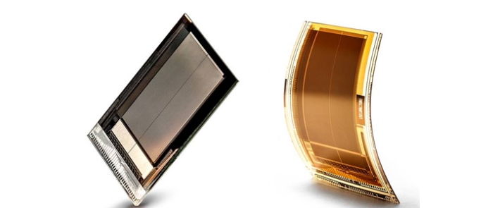rigid-and-flexible-sensors