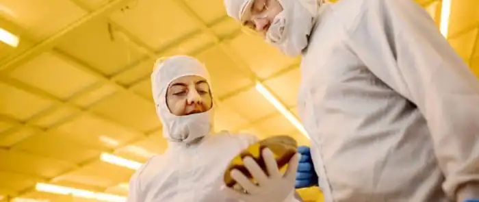 enginers-holding-wafer