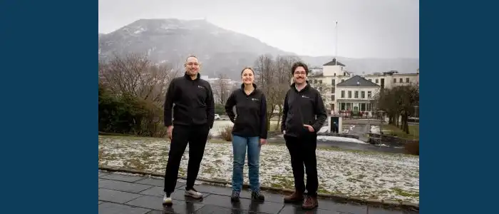 Lacelithography738300