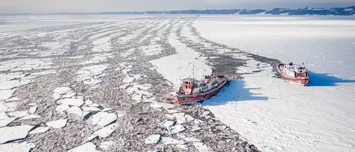 arcticstudy